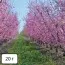 Террафлекс (для сада) фото