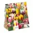 Комбо Тюльпаны Fireworks (Брендовые луковицы KAPITEYN®) фото
