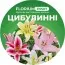 Удобрение для луковичных цветов (Florium Profi универсальное) 4м. 500г фото