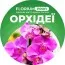 Удобрение Florium Profi для орхидей (20-10-20) 120г фото