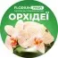 Удобрение Florium Profi для орхидей (20-20-20) 120г фото