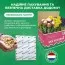 Фритиллярия Meleagris фото