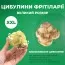 Фритиллярия Maxima Lutea фото