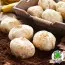 Фритиллярия Іmperialis Prolifera фото