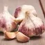 Чеснок Germidour Озимый 5 кг фото