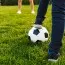 Газон Спортивный, 1 кг, Euro Grass фото