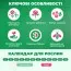 Гладиолус Bako фото