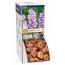 Рек-бокс Бегония Pendula-Cascade Yellow (Брендовые луковицы KAPITEYN®) фото