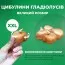 Гладиолус Prins Claus 8/9 фото