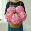 Гортензия Silky Pink фото