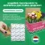 Белоцветник Aestivum Bridesmaid фото