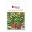 Клубника ананасная Рейнбоу F1 фото