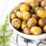 Укроп Комнатный фото