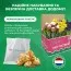 Лилия Yellow Cocotte фото
