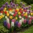 Микс Blooming Layers фото