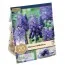 Мускари Latifolium (Брендовые луковицы KAPITEYN®) фото