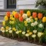 Набор цветочной лазаньи Sunny Bloom фото