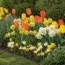 Набор цветочной лазаньи Sunny Bloom фото