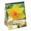 Нарцисс Bright Jewel (Брендовые луковицы KAPITEYN®) фото