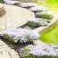 Флокс White Delight фото