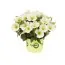 Петуния Petunia Potunia Popcorn фото