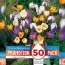 Промо-пак Крокусы Specie Mixed Colours (Брендовые луковицы KAPITEYN®) фото