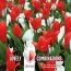 Комбо Тюльпаны Red и Крокусы White (Брендовые луковицы KAPITEYN®) фото