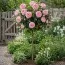 Роза штамбовая Peony Pink фото
