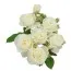 Роза White Romanza фото