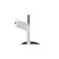 Садовый Бинт 0,2х10м фото