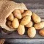 Семена картофеля Ассоль фото
