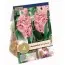 Гиацинт Махровый Spring Beauty (Брендовые луковицы KAPITEYN®) фото