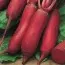Свекла Опольская, 20 г (ТМ Gl seeds) фото