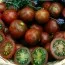 Томат Brown Berry фото
