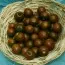 Томат Brown Berry фото