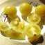 Томат Snow Berry фото