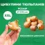 Набор тюльпанов Day Dream фото