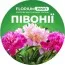 Удобрение для пионов (Florium Profi универсальное) 4м. 700г фото
