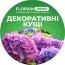 Удобрение для декоративных кустарников (Florium Profi универсальное) 4м. 700г фото