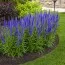 Вероника Blauriesin фото