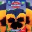 Виола F1 Максим фото