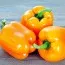 Перец Желтый Кунео фото