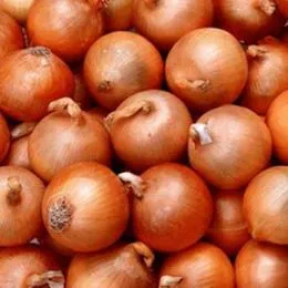 Лук Turbo фото
