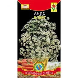 Анис Блюз фото