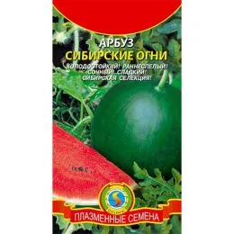 Арбуз Сибирские огни фото