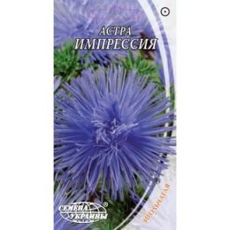 Астра Импрессия фото