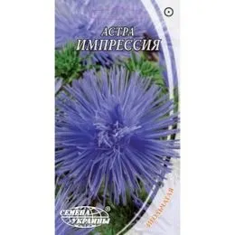 Астра Импрессия фото