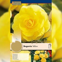 Рек-бокс Бегония Double Yellow (Брендовые луковицы KAPITEYN®) фото