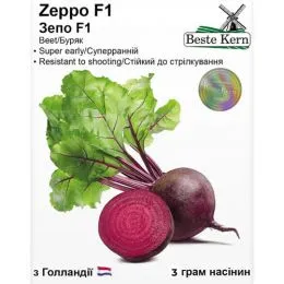 Свекла столовая Зеппо F1, ТМ Beste Kern фото