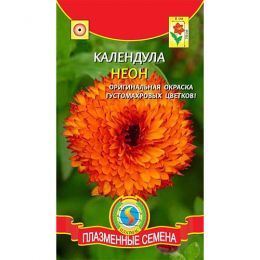 Календула Неон фото